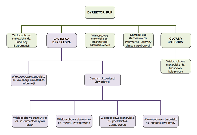 Schemat organizacyjny PUP
